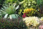 Gilgoomaplanting-garden-and-landscape-design-24.jpg; ?>
